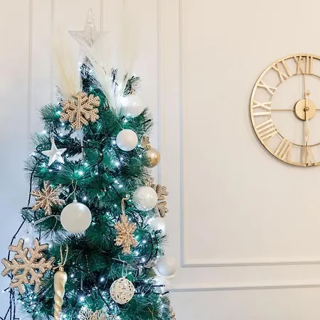 Appartement Confort Si Eleganta - Elit Lrl *