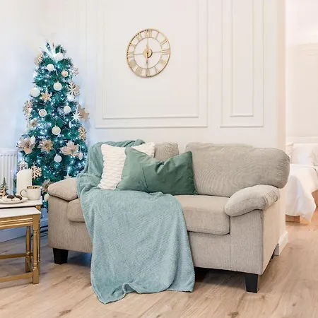 Confort Si Eleganta - Elit Lrl Apartment Timisoara