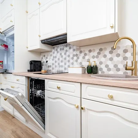 Confort Si Eleganta - Elit Lrl Apartment Timisoara