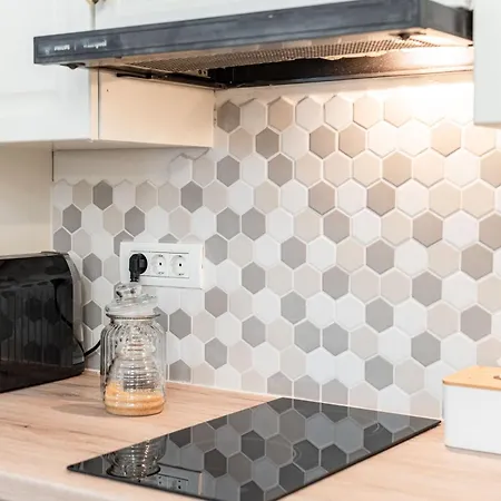 Confort Si Eleganta - Elit Lrl Apartment Timisoara