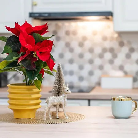 Confort Si Eleganta - Elit Lrl Appartement