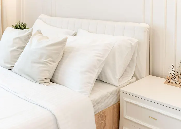 Confort Si Eleganta - Elit Lrl Apartment Timisoara