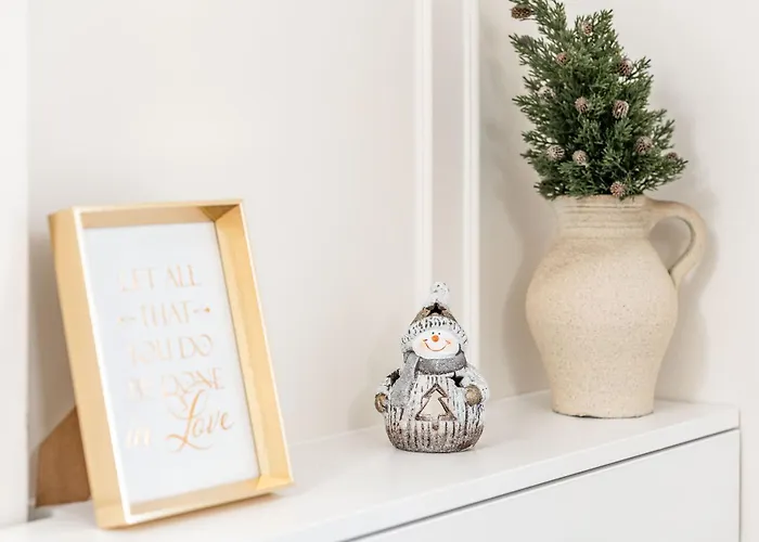 Apartment Confort Si Eleganta - Elit Lrl Timisoara