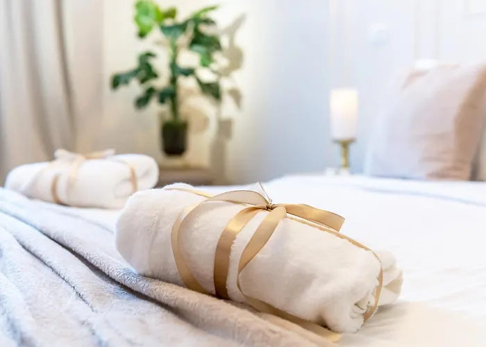 Confort Si Eleganta - Elit Lrl Timisoara