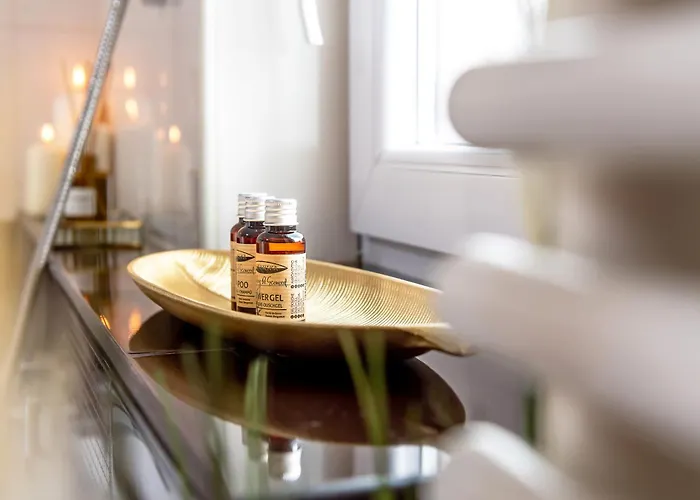 Confort Si Eleganta - Elit Lrl Apartment Timisoara