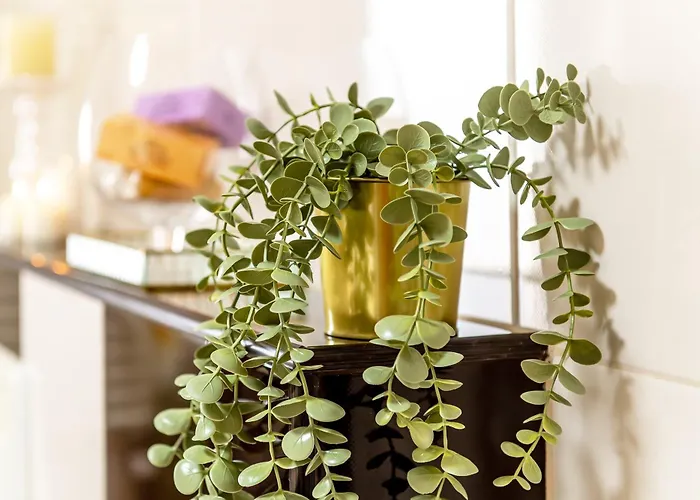 Confort Si Eleganta - Elit Lrl *