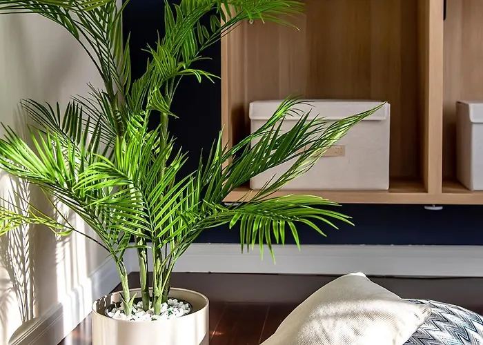 Apartment Confort Si Eleganta - Elit Lrl