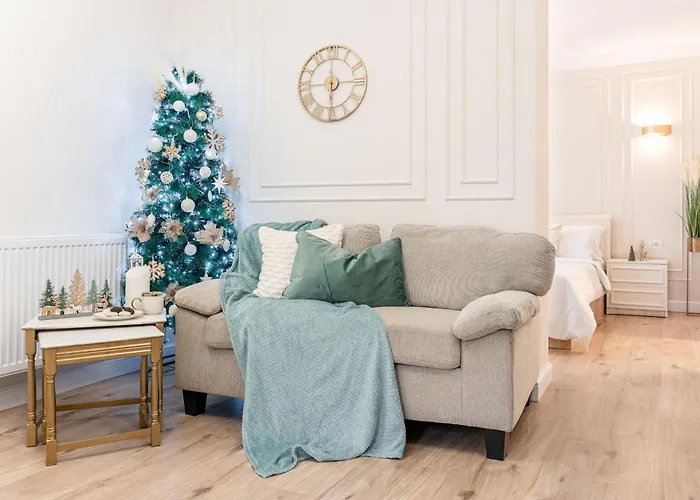 Confort Si Eleganta - Elit Lrl Apartment Timisoara