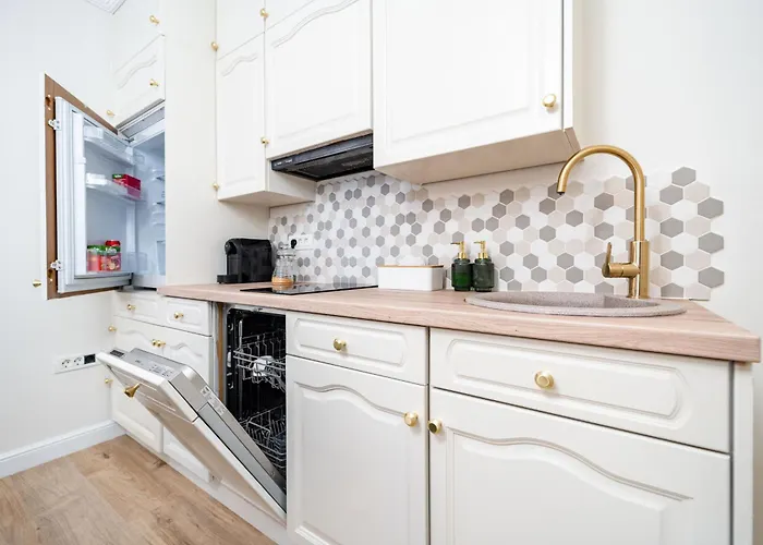 Confort Si Eleganta - Elit Lrl Apartment Timisoara