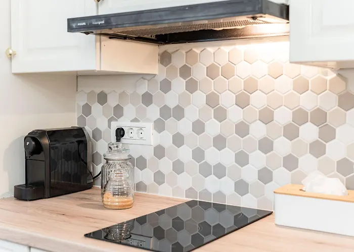 Confort Si Eleganta - Elit Lrl Apartment Timisoara