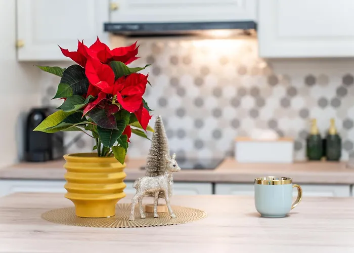 Confort Si Eleganta - Elit Lrl Apartment