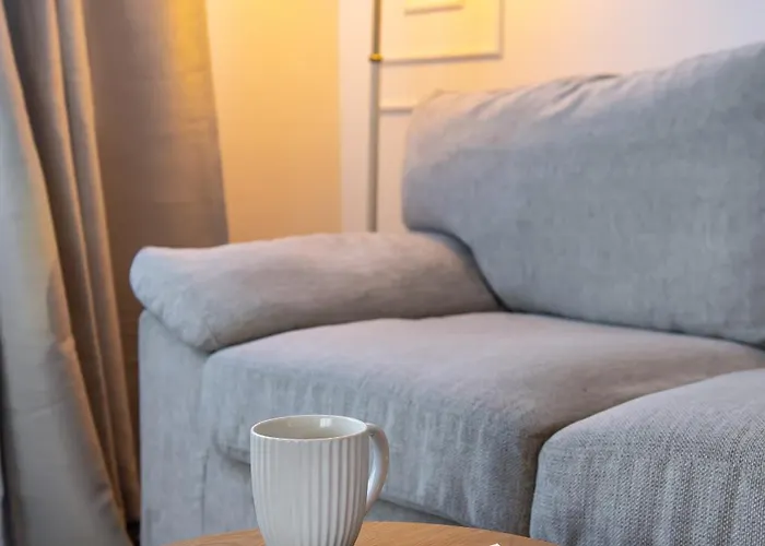 Confort Si Eleganta - Elit Lrl * Timisoara