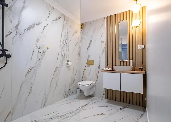 Apartment Confort Si Eleganta - Elit Lrl Timisoara