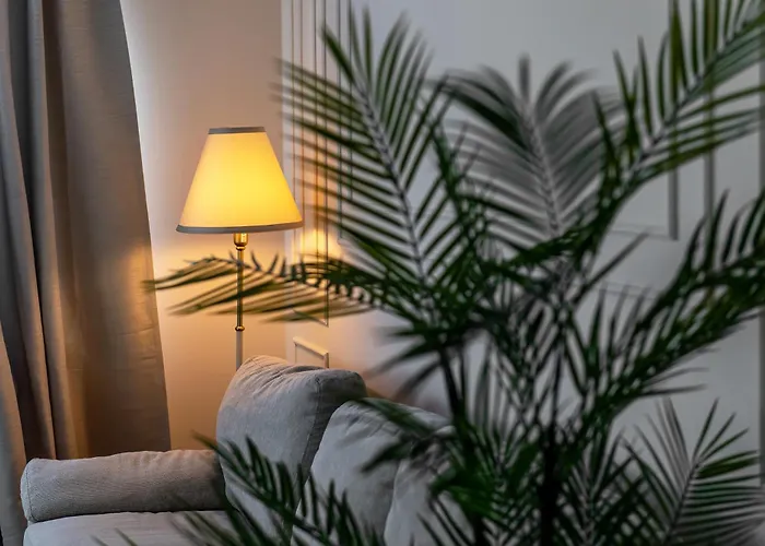 Confort Si Eleganta - Elit Lrl *