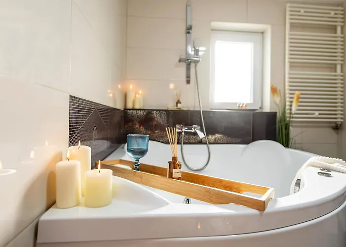 Confort Si Eleganta - Elit Lrl Apartment Timisoara