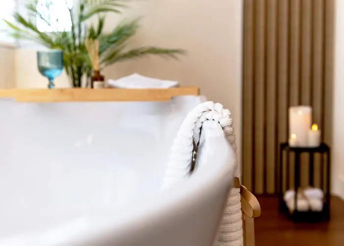 Confort Si Eleganta - Elit Lrl Apartment Timisoara