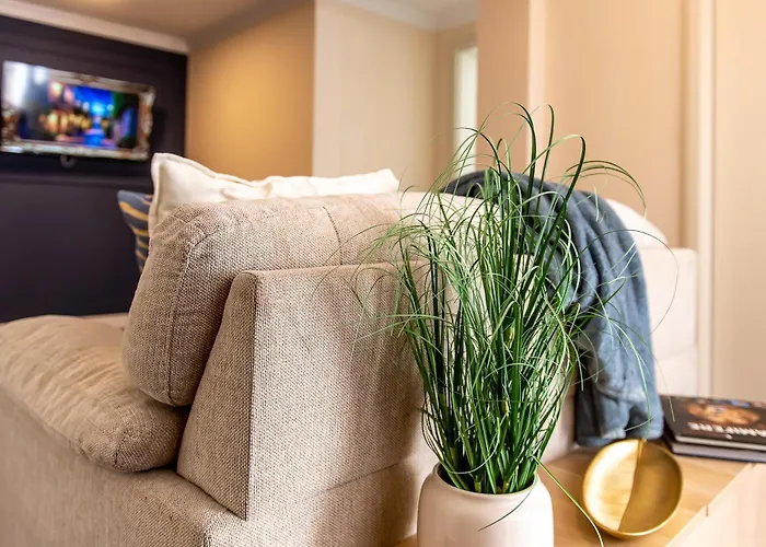 Confort Si Eleganta - Elit Lrl Apartment Timisoara